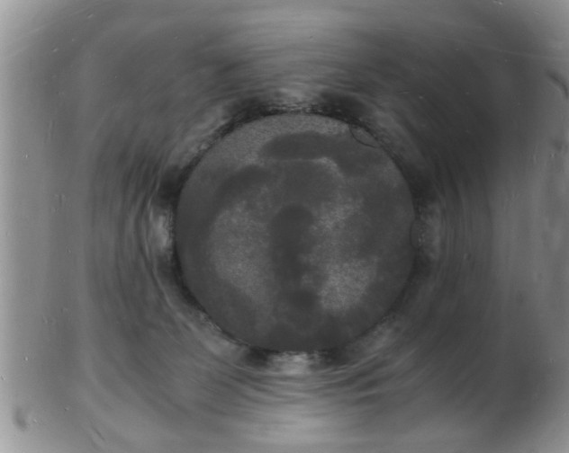 X0000103290131200809122016