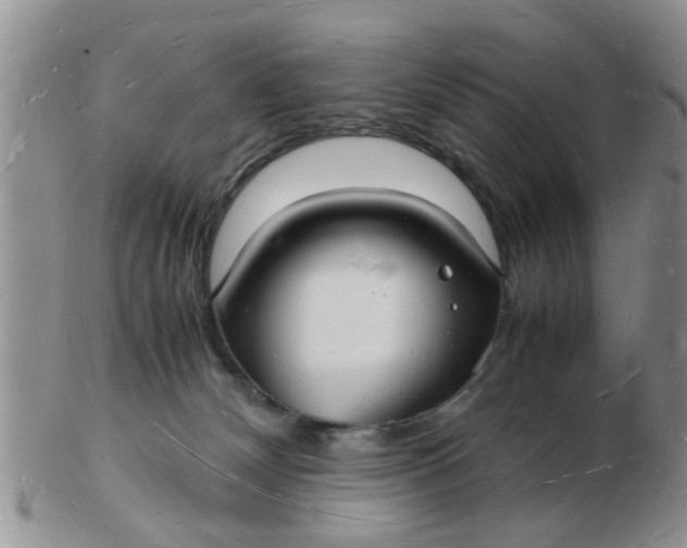 X0000103290132200809122016