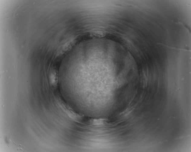 X0000103290134200809122016