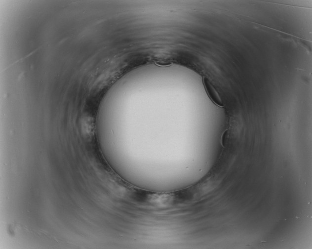 X0000103290135200809122016