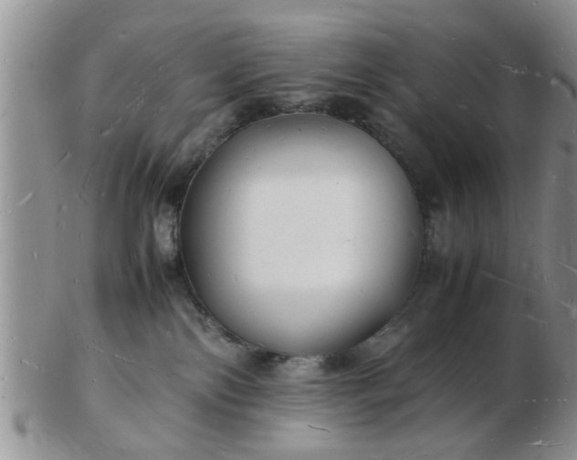 X0000103290138200809122016