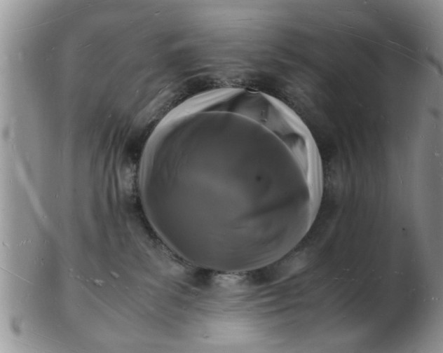 X0000103290139200809122016