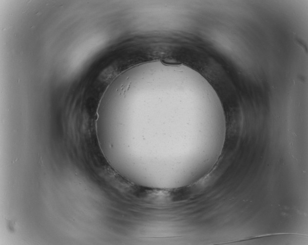 X0000103290140200809122016