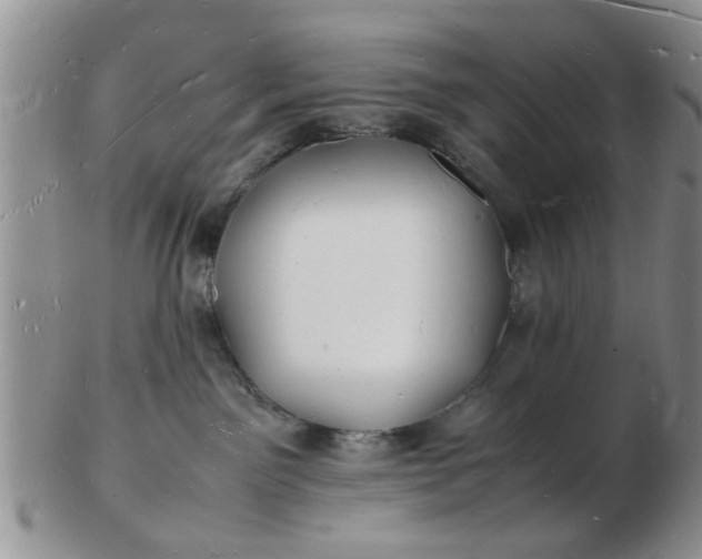 X0000103290141200809122016