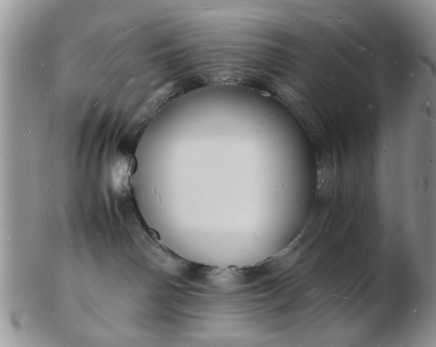 X0000103290142200809122016