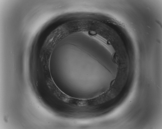 X0000103290143200809122016