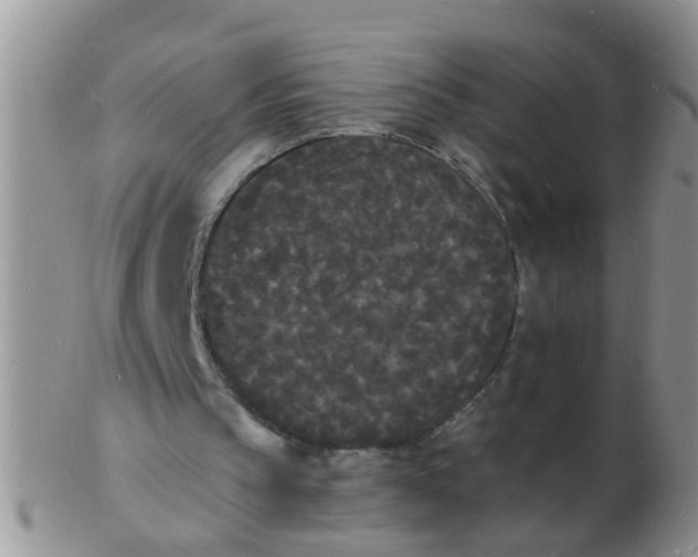 X0000103290145200809122015