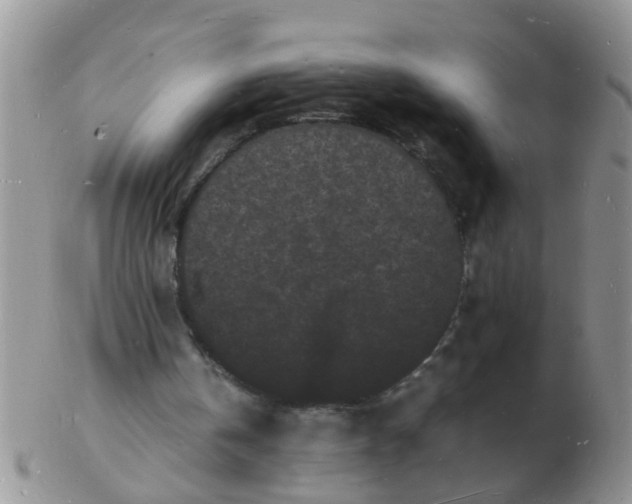 X0000103290146200809122015