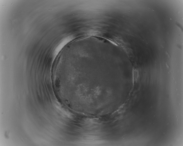 X0000103290147200809122015