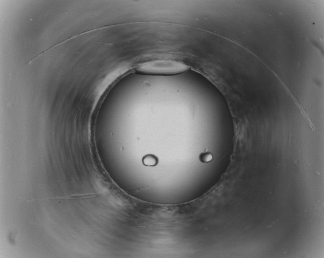 X0000103290148200809122015