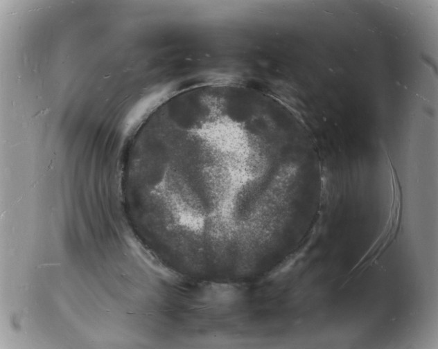 X0000103290149200809122015