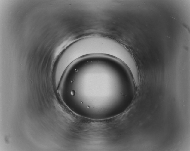 X0000103290150200809122015