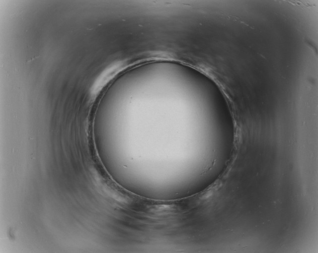 X0000103290151200809122015