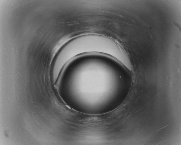 X0000103290152200809122015