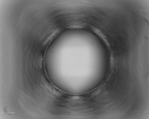 X0000103290153200809122015