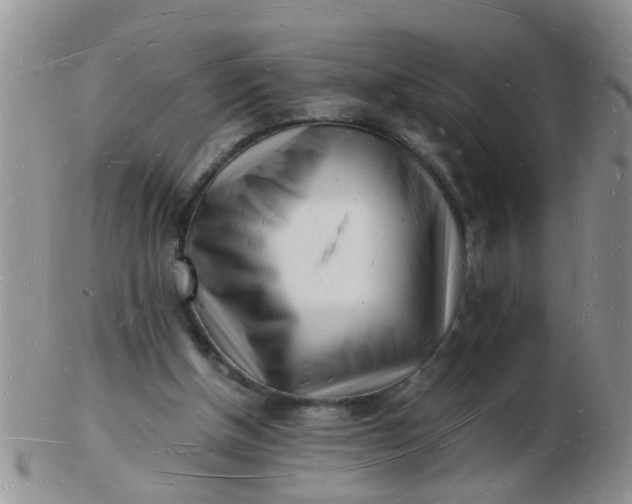 X0000103290154200809122015