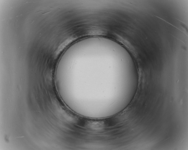 X0000103290155200809122015