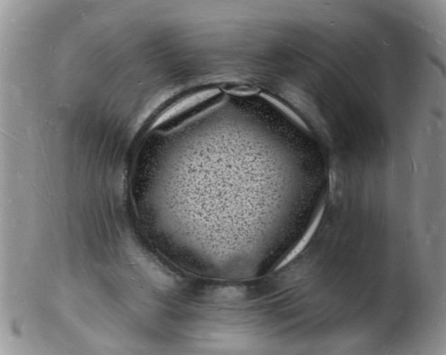 X0000103290156200809122015