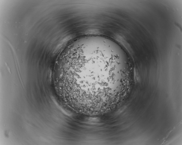 X0000103290157200809122015