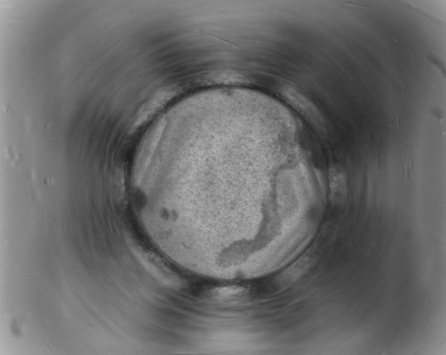 X0000103290158200809122015