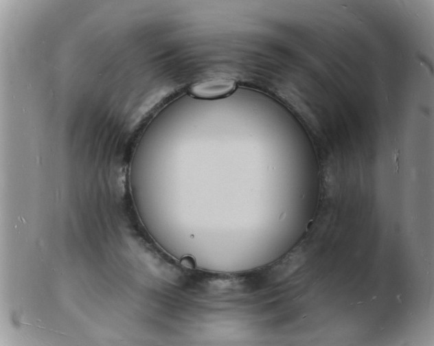 X0000103290160200809122015