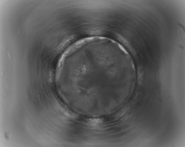 X0000103290161200809122015