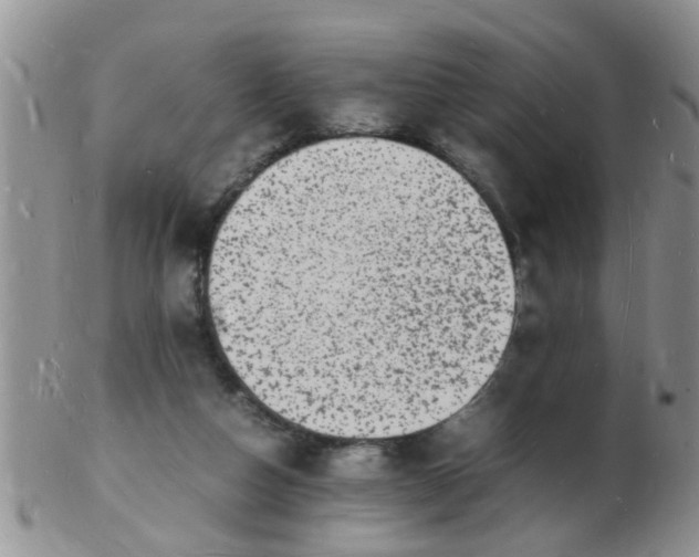 X0000103290162200809122015