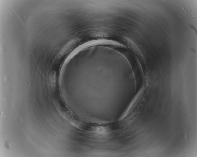 X0000103290163200809122015