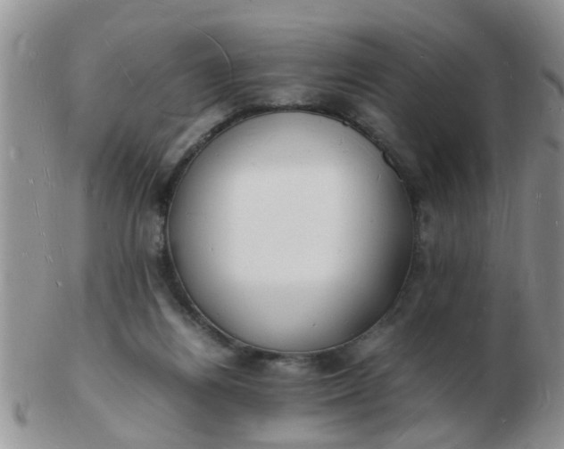 X0000103290164200809122015