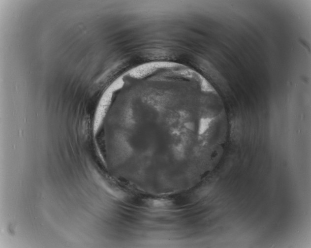 X0000103290165200809122015