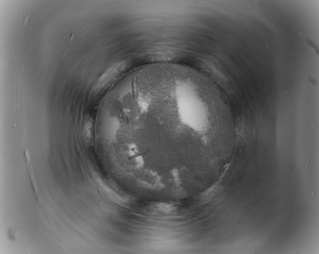 X0000103290166200809122015