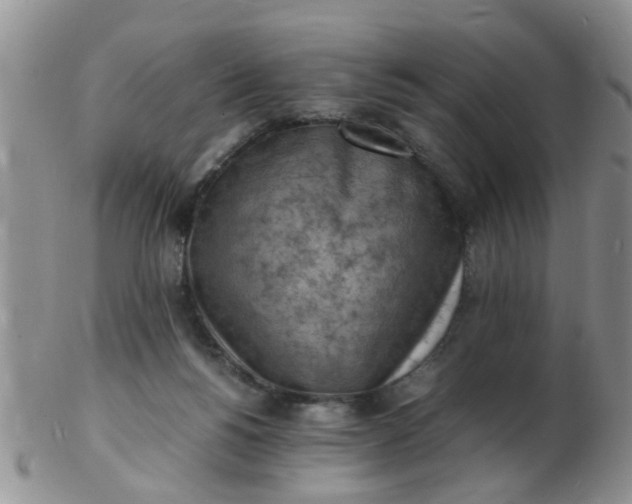 X0000103290168200809122015