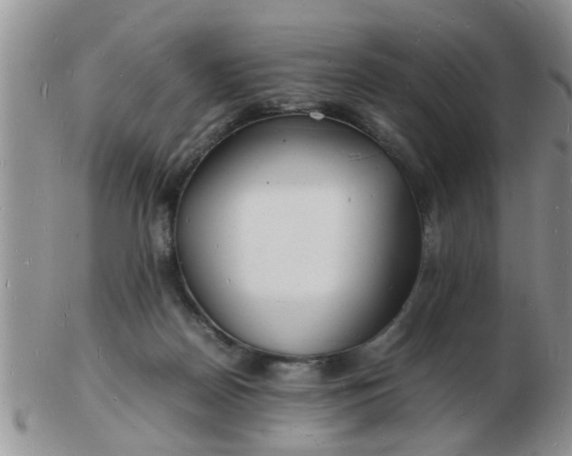 X0000103290170200809122015