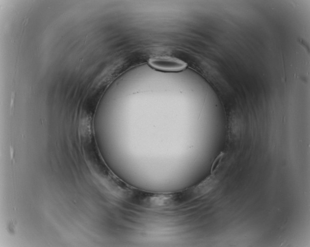 X0000103290172200809122016