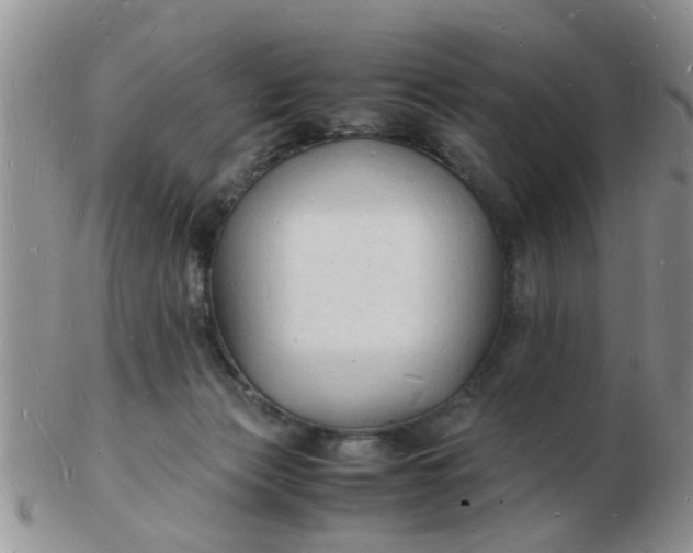 X0000103290173200809122016