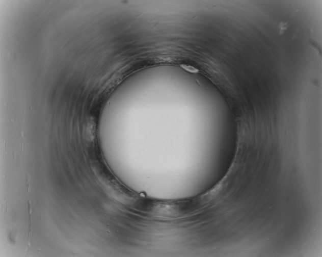 X0000103290174200809122016