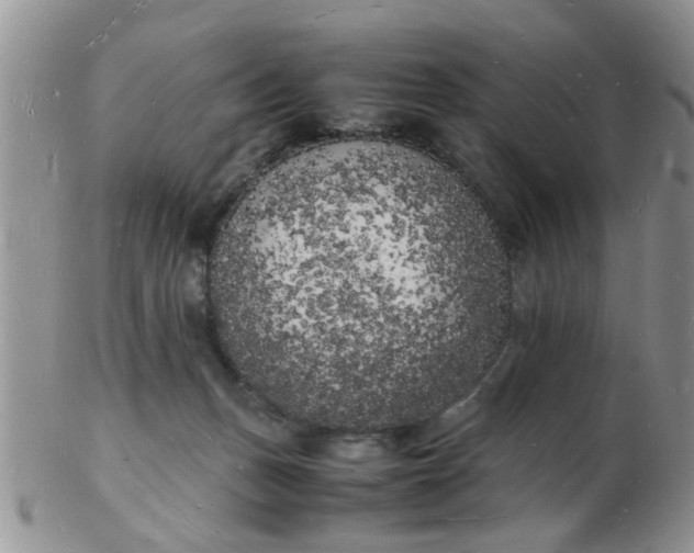 X0000103290175200809122016