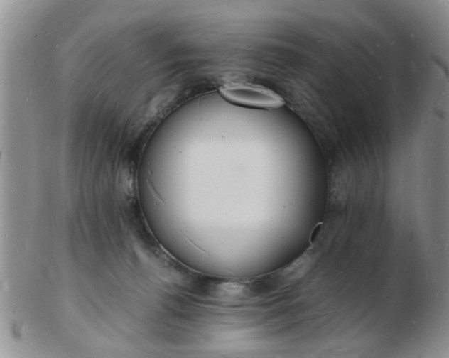 X0000103290176200809122016