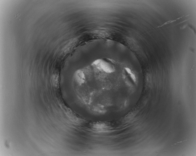 X0000103290177200809122016