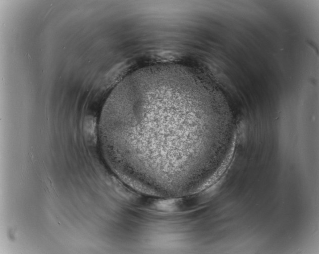 X0000103290178200809122016