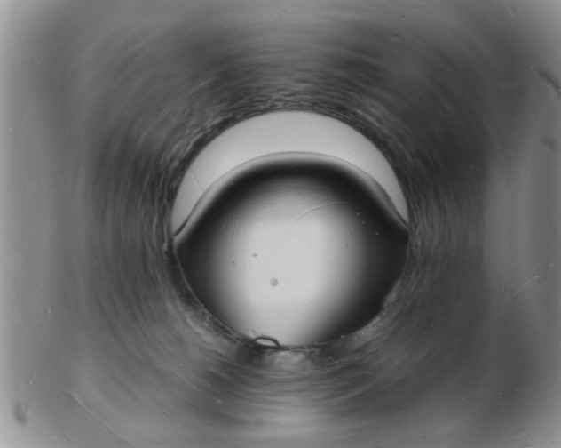 X0000103290180200809122016