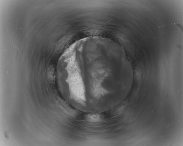 X0000103290181200809122016