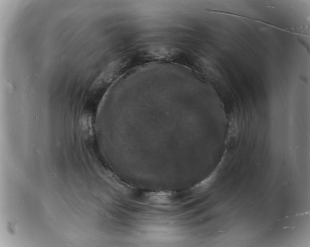 X0000103290182200809122016