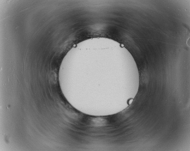 X0000103290183200809122016