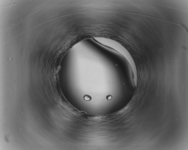 X0000103290184200809122016