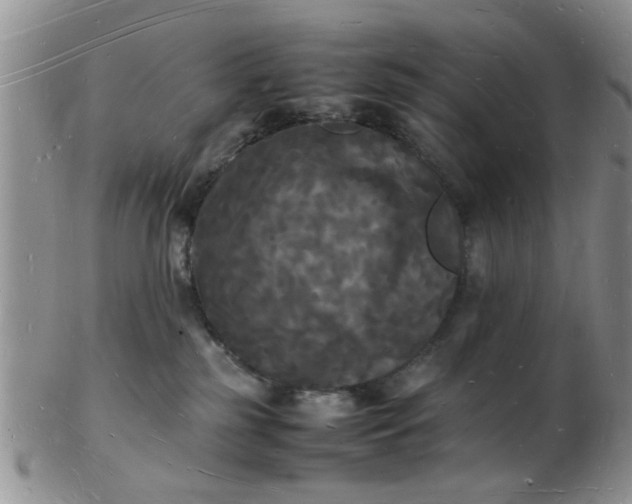 X0000103290185200809122016