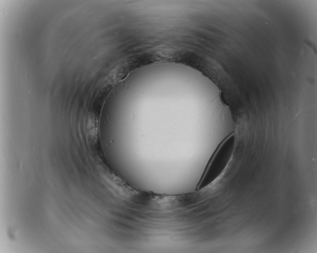 X0000103290186200809122016