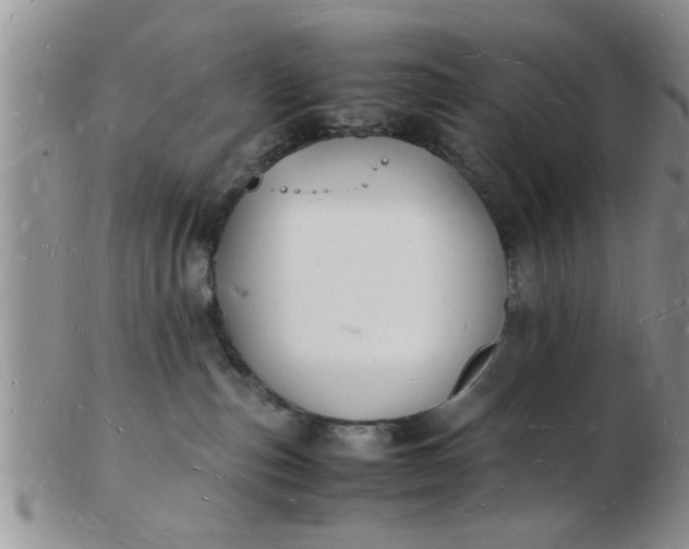 X0000103290187200809122016