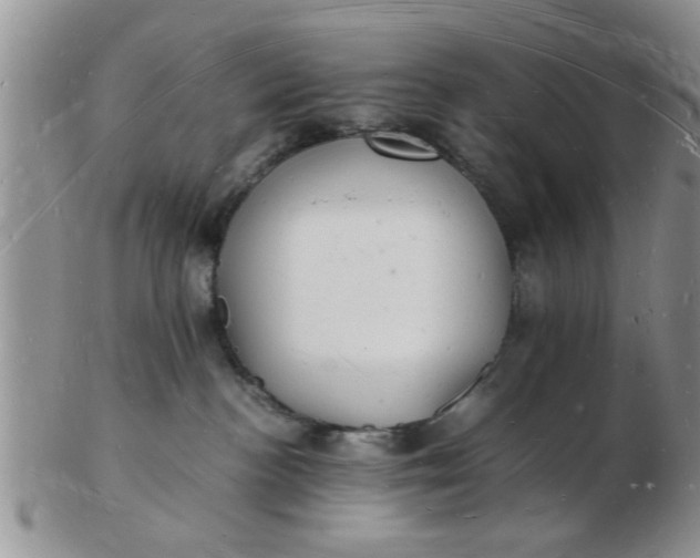 X0000103290188200809122016