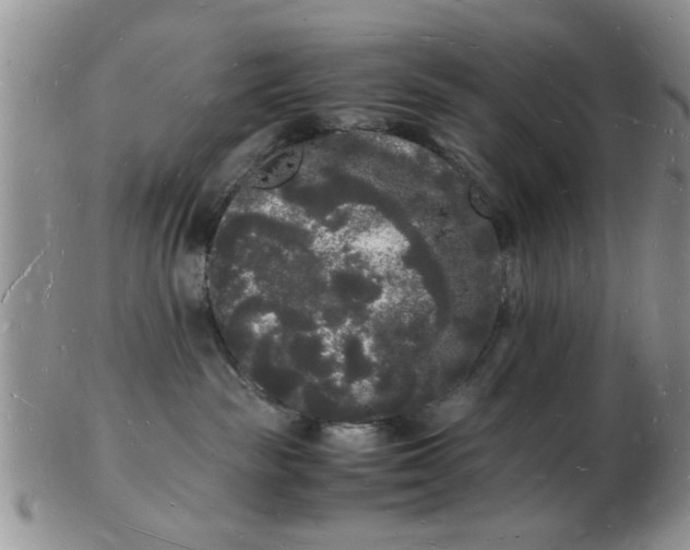 X0000103290189200809122016